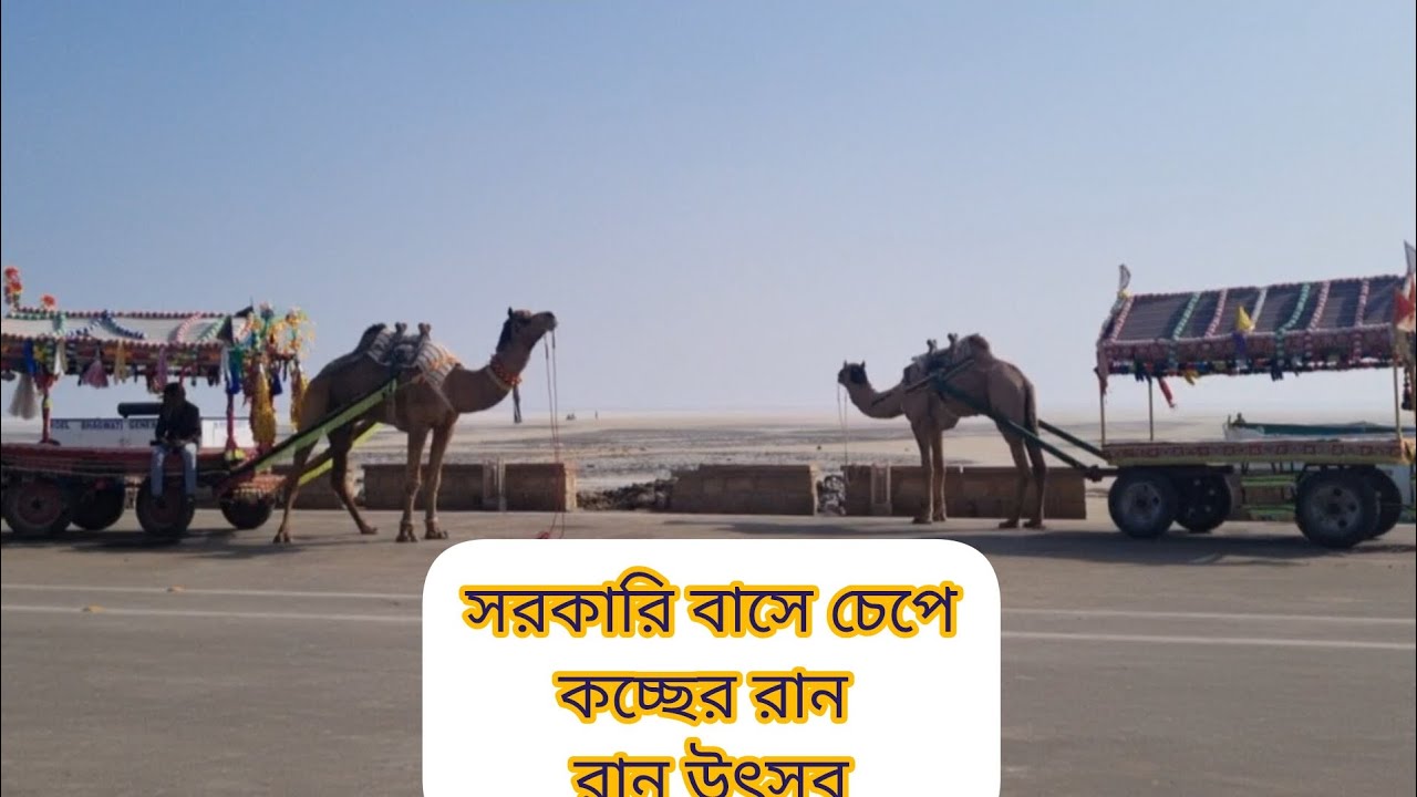 সরকারি বাসে চেপে ভুজ থেকে কচ্ছের রান।