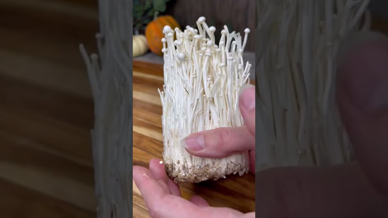 THE ENOKI MUSHROOM