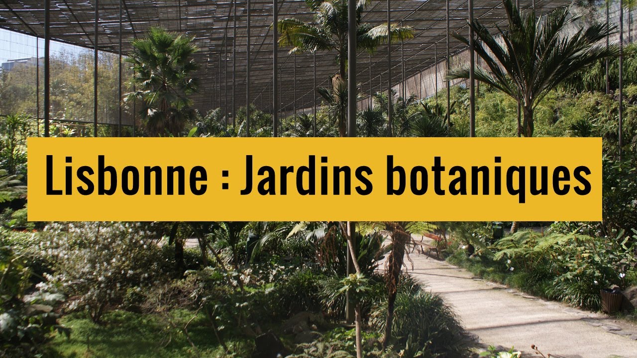 Plus beaux jardins botaniques de Lisbonne