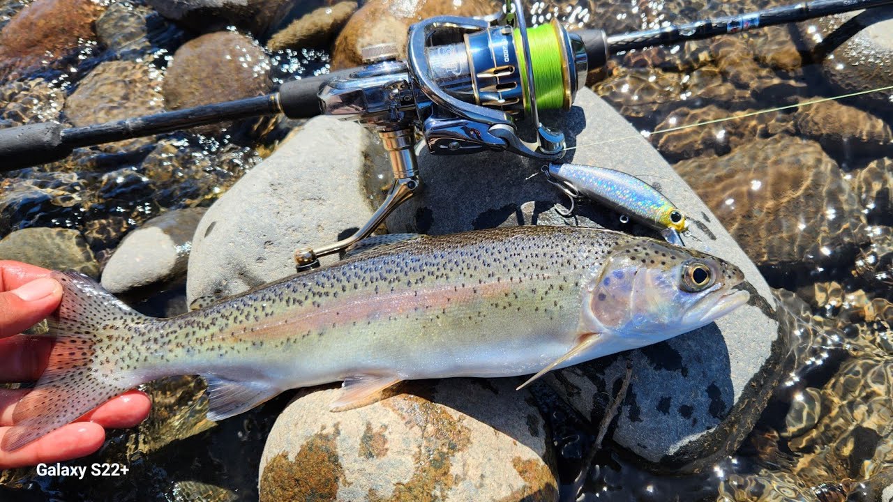 pesca de truchas en chile/sur de chile/araucania/nueva inperial/devoluciones/riocautin/almagro/
