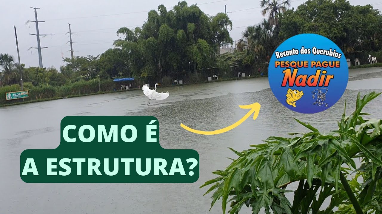 PESQUEIRO NADIR EM GOIÂNIA: COMO É SUA ESTRUTURA?