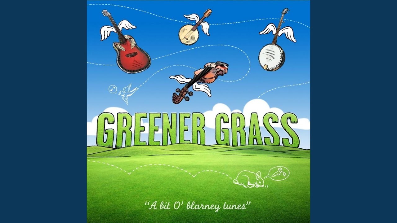 Irish Washerwoman/Blarney Pilgrim/John Ryan's Polka