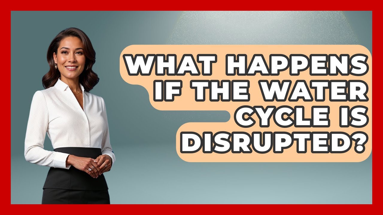 What Happens If the Water Cycle Is Disrupted? | Explaining Ecology News
