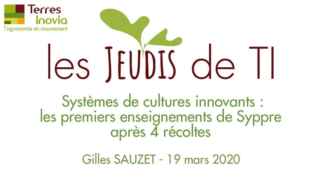 Jeudis TI | Systèmes de cultures innovants : les premiers enseignements de Syppre après 4 récoltes