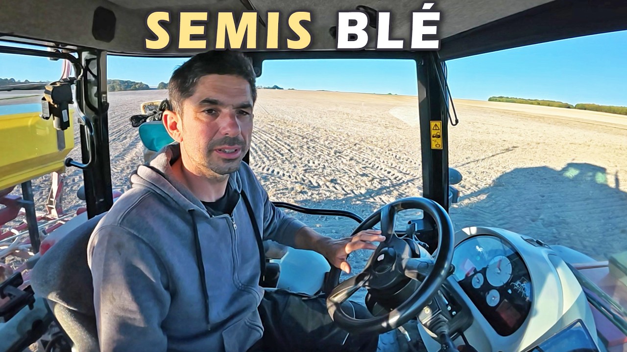 Semis des blés en parfaites conditions - 2025