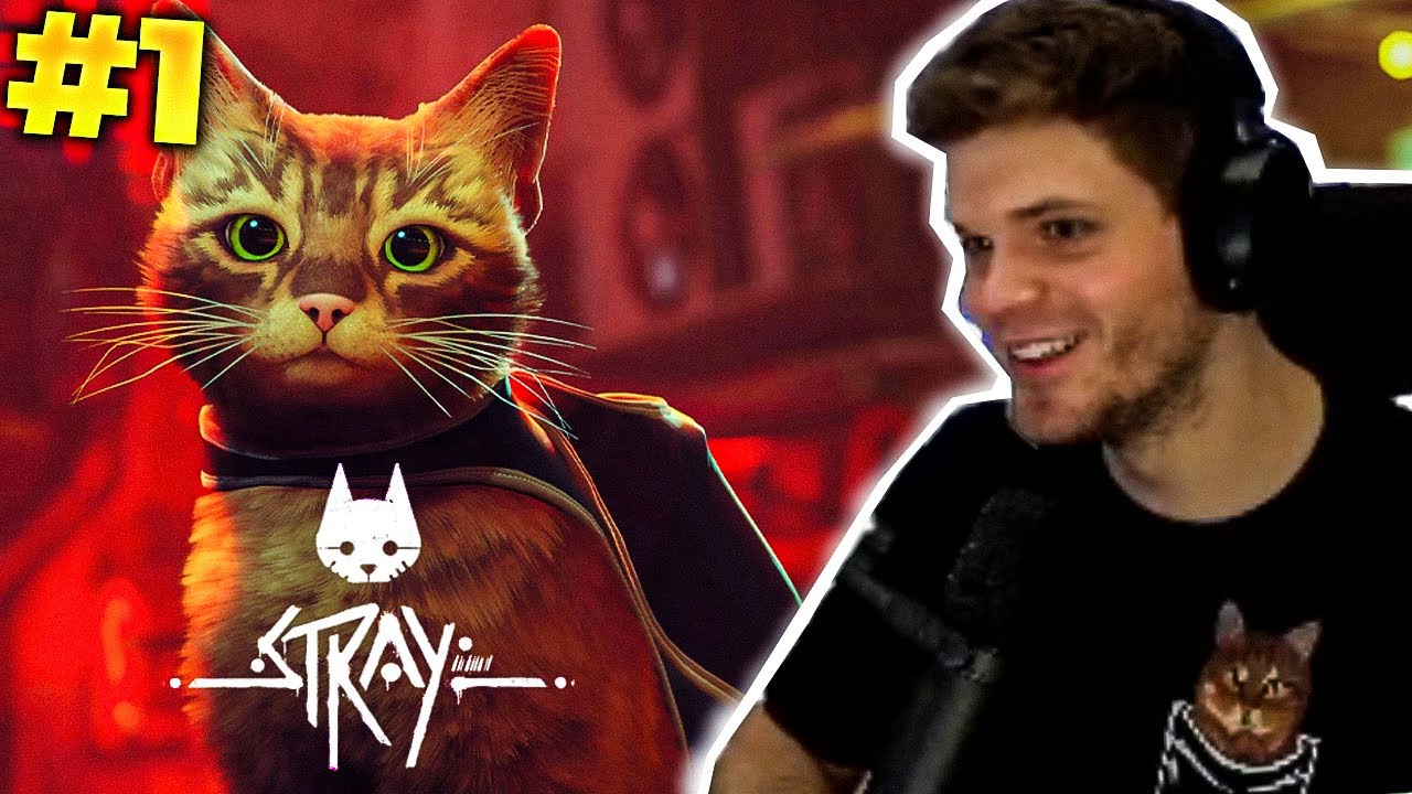 GUCIO | KOCIA PRZYGODA | STRAY #1