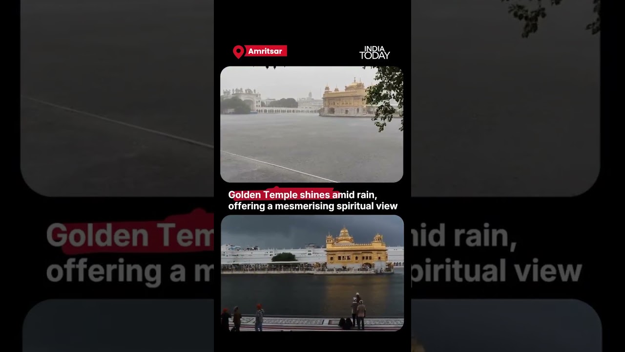 Golden Temple Shimmers in Rain as Sri Harmandir Sahib Turns Mesmerising During Monsoon #goldentemple