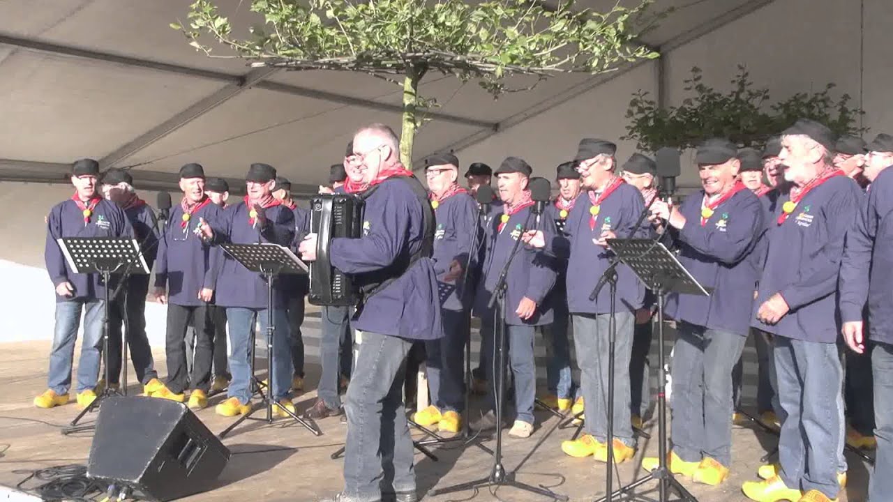 Korenfestival Soest - fragmenten uit het avondprogramma
