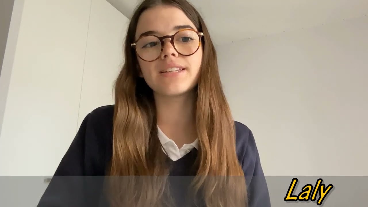 Les 4e témoignent : notre projet eTwinning sur le calcul littéral