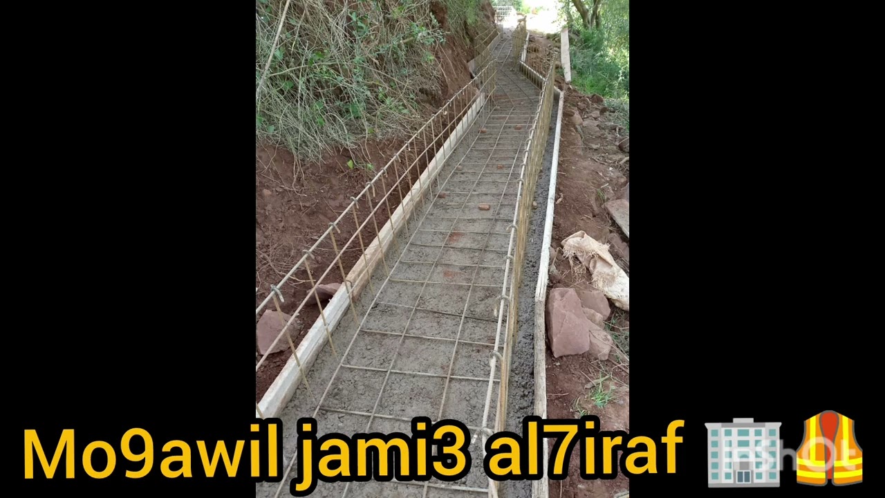 12 فبراير 2026