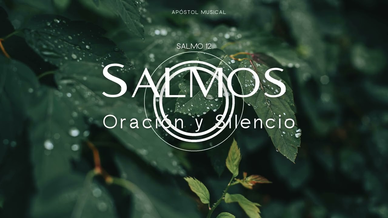 SALMO 12 - CANTADO para ORAR, y Traer Paz A TU VIDA. y VIVIR LA SANTIDAD, Cantemos con la BIBLIA.