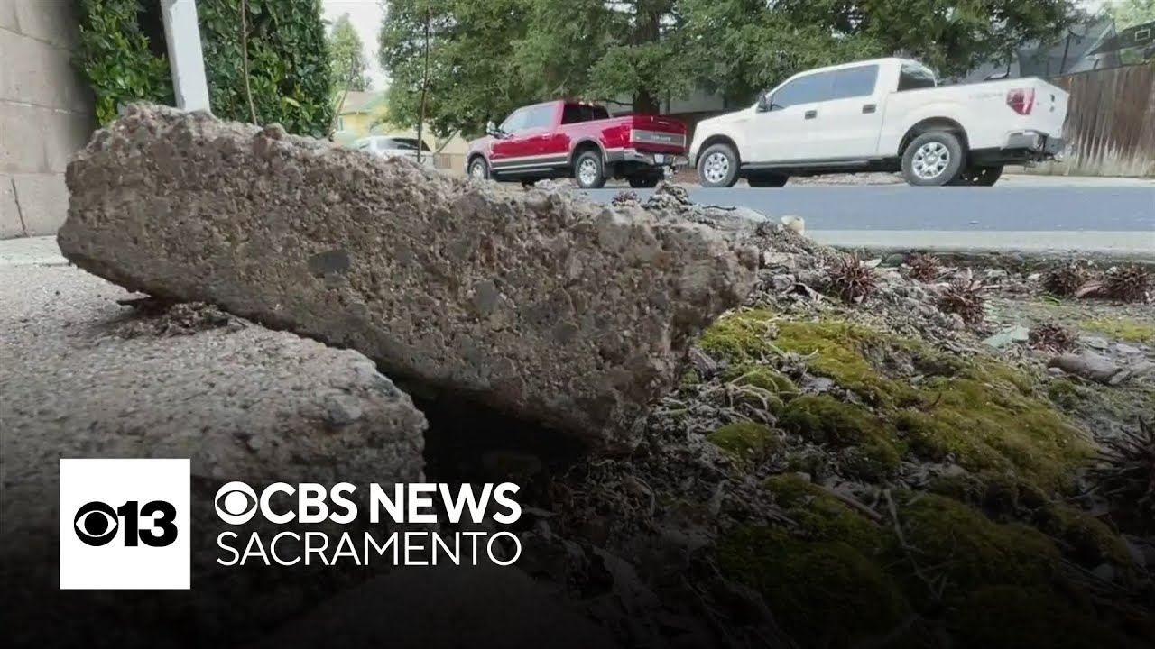 Roseville city leaders neglect older neighborhoods, residents say