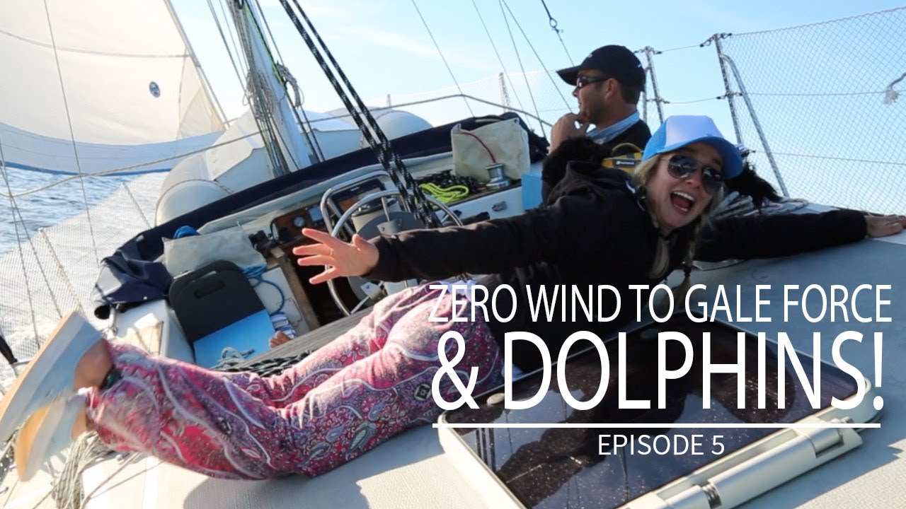 Zero Wind to Gale Force & Dolphins!!! (Sailing Day Dream Ep. 5)