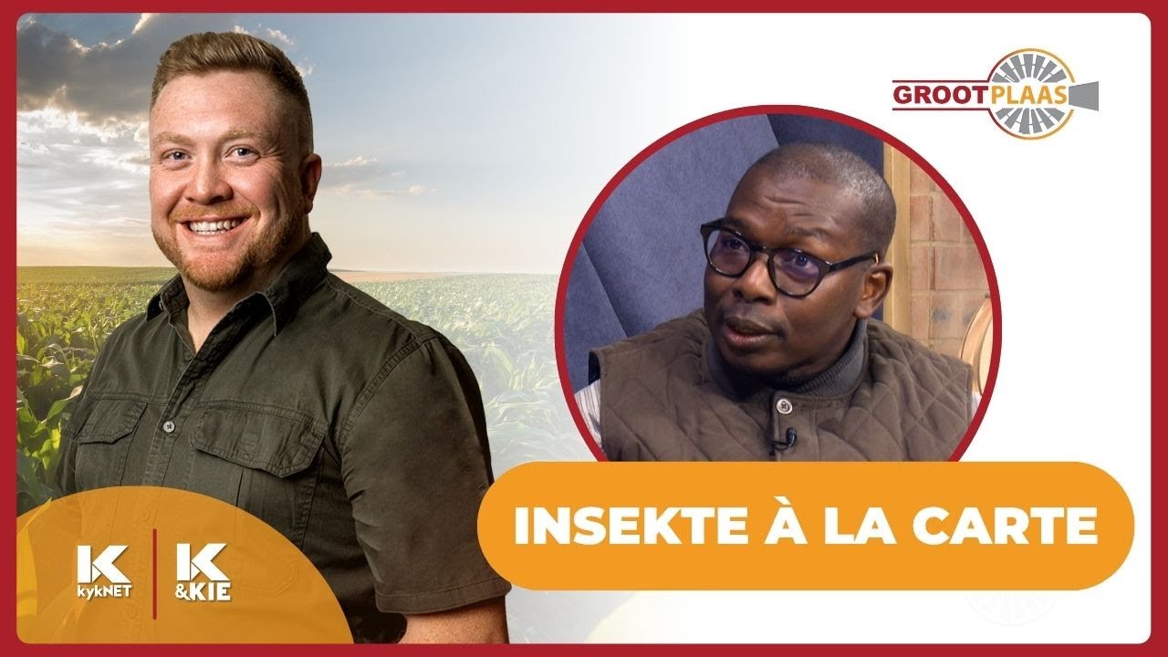 Abdullahi Yusuf oor Insekte à la carte | 16 Julie 25
