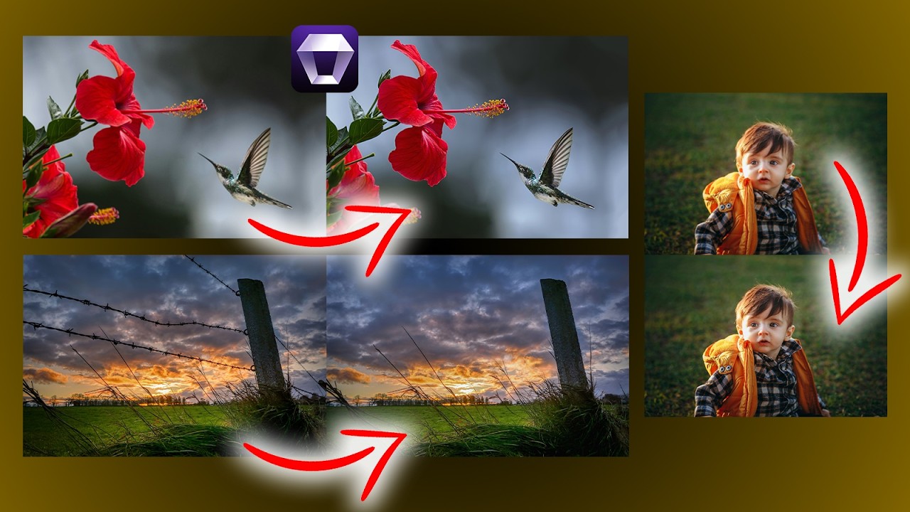 Aiarty AI Review – Real-World Photographer Test