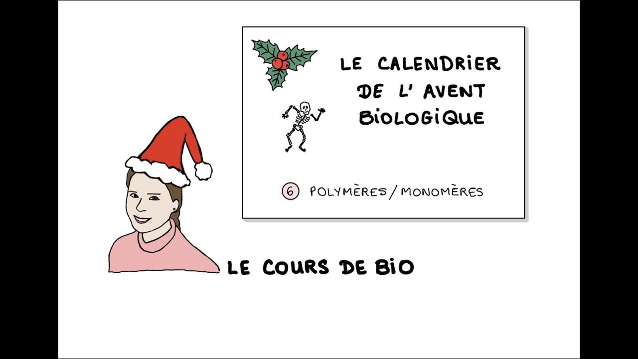 J6 calendrier de l&rsquo;avent biologique - polym&egrave;res vs. monom&egrave;res