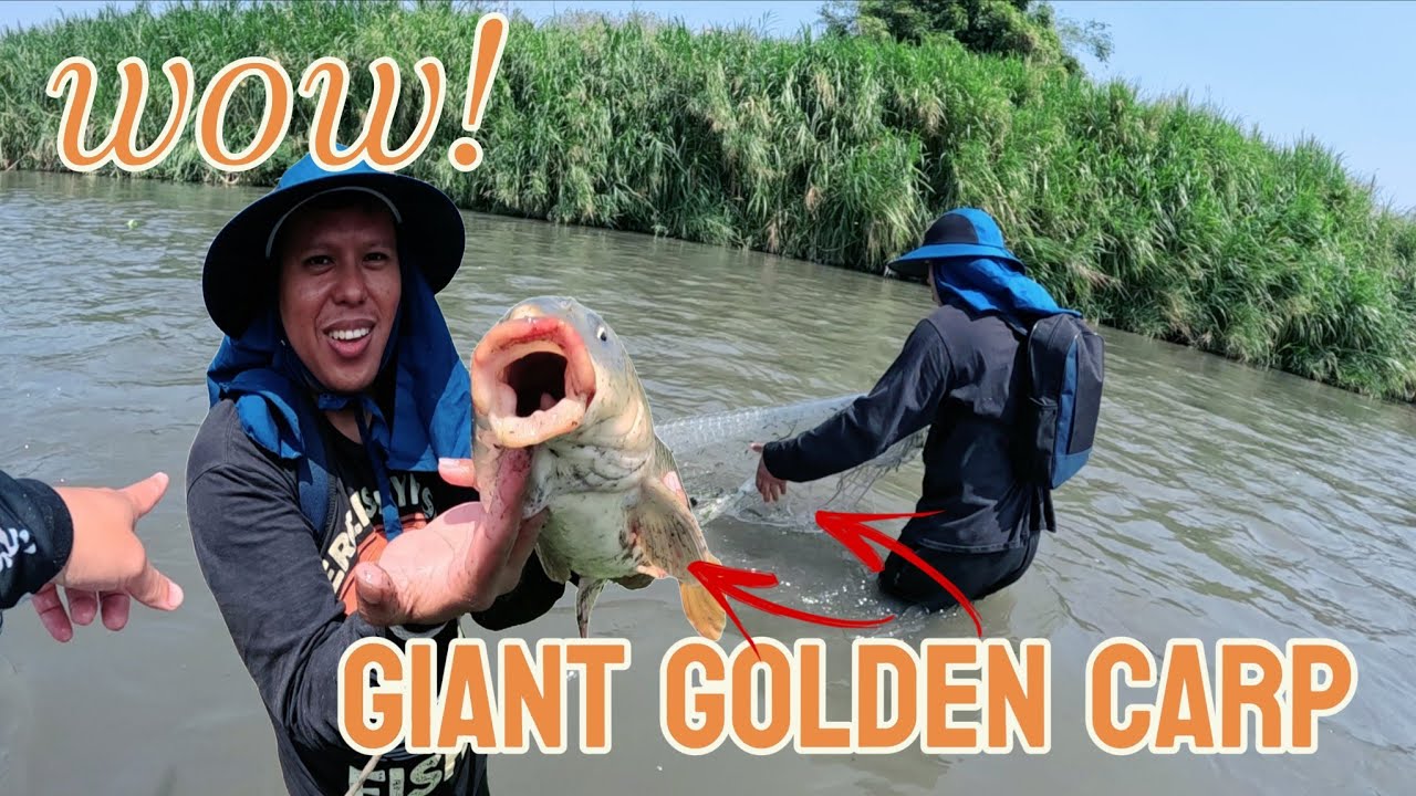 Jackpot!! Nahuli ko na ang mamaw sa ilog ng taiwan 