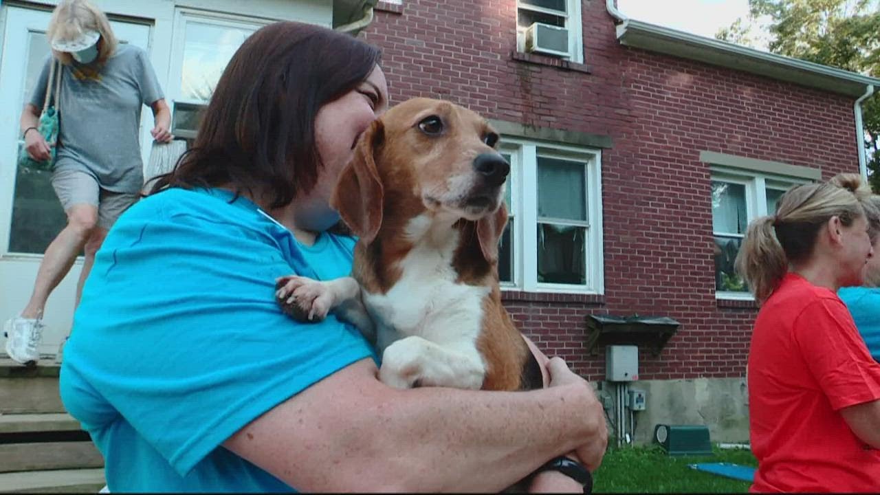 'It's a wonderful day' | First group of beagles rescued from VA breeding facility
