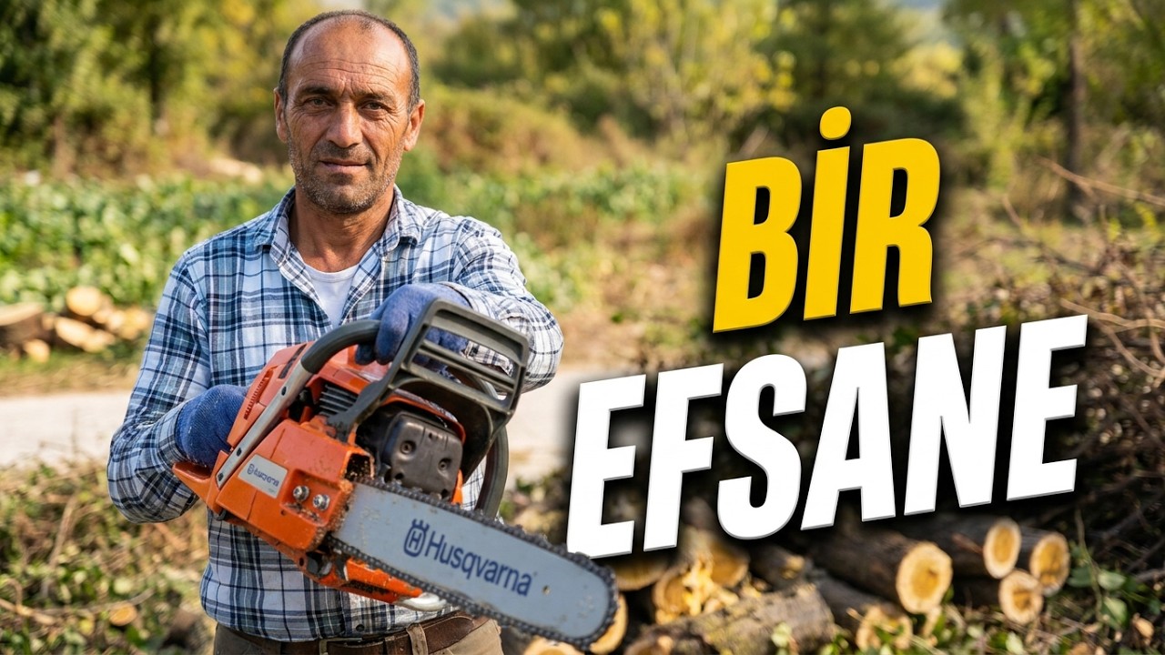 Bir Efsane O Husqvarna 365 Motorlu Testere Ağaç Kesimi