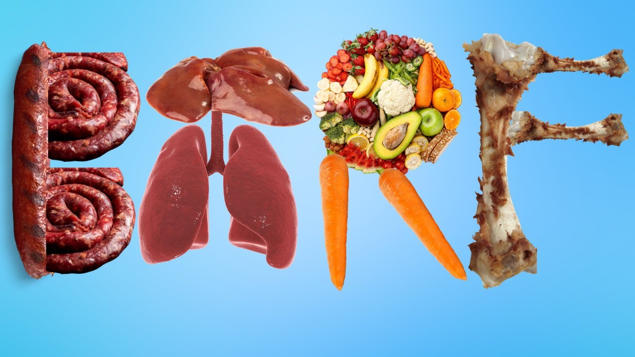 Raw Dog Food Made Simple: The Easy Guide to The BARF Diet