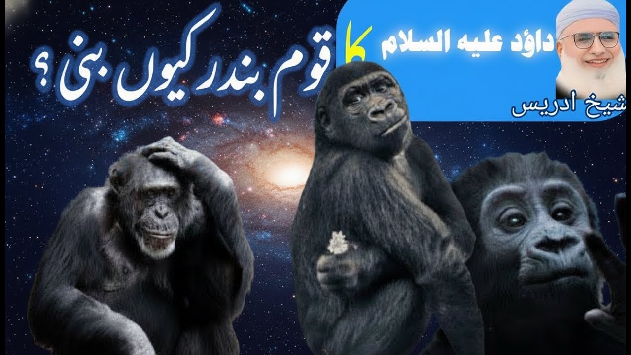 Pashto Bayan | Sheikh idress saib | حضرت داؤد علیہ السلام ڈیرہ عبرتناکہ واقعہ