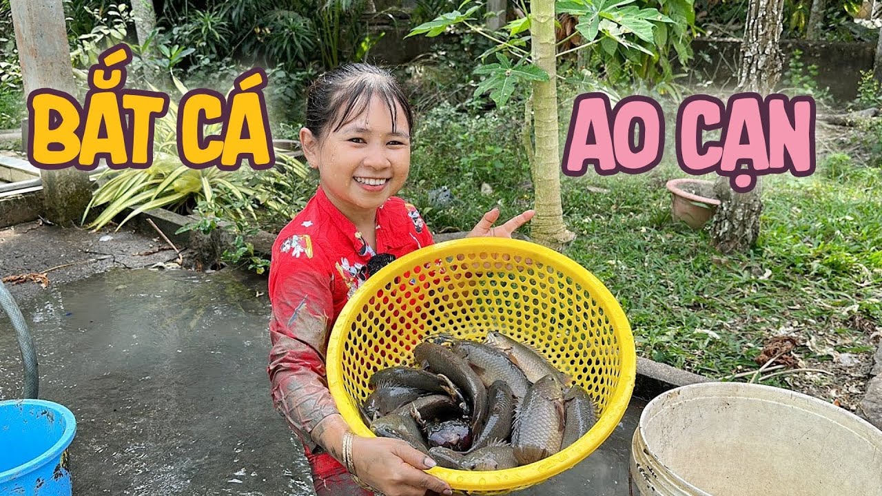 Bắt Được Rất Nhiều C&aacute; Ở Ao Cạn Qu&ecirc; Nh&agrave; & C&aacute;i Kết Bất Ngờ || Vợ Chồng B&eacute; Bỏng