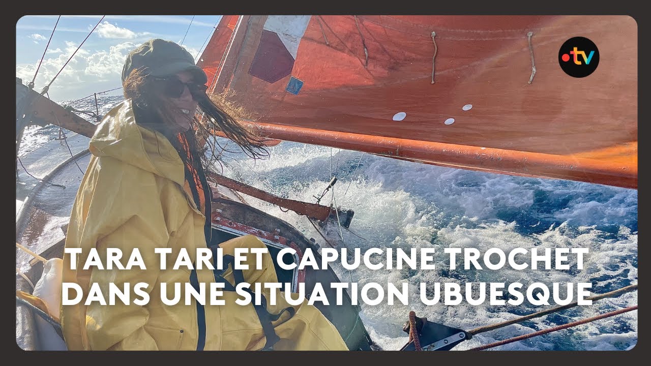 ENTRETIEN. L'histoire ubuesque de Tara Tari, le bateau de Capucine Trochet bloqu&eacute; par les douanes