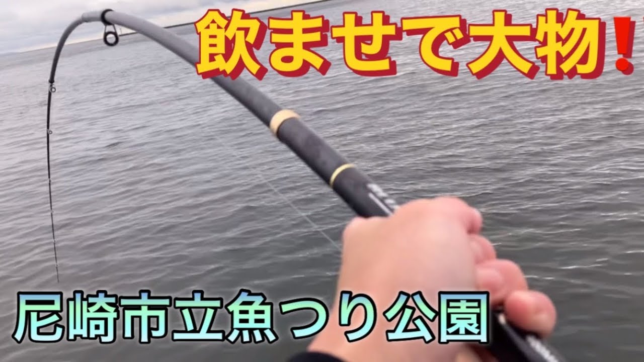 つり公園で、ノマセ釣りしたらまさかの大物⁉️