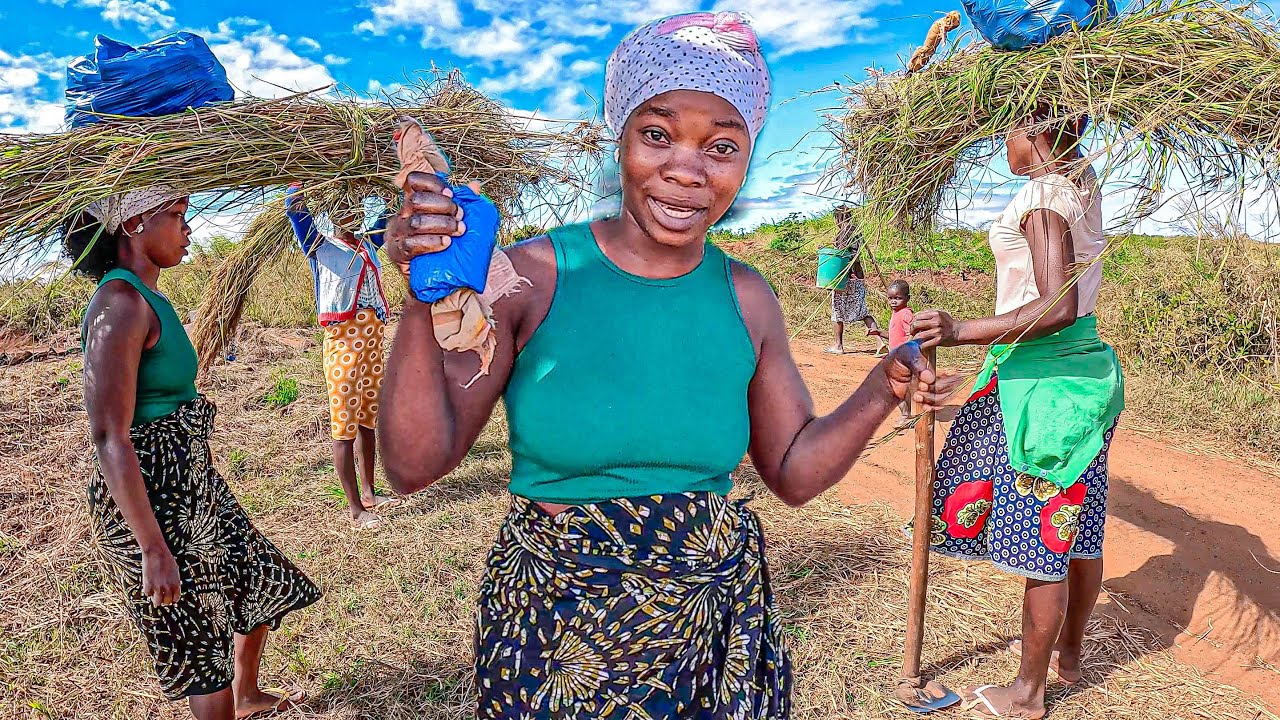 Assim é a recolha da Palha pra cobrir nossas Casas aqui em Moçambique
