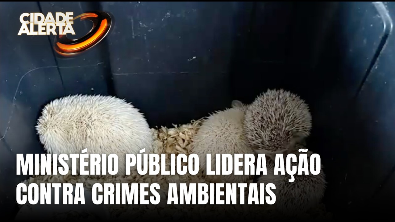 Opera&ccedil;&atilde;o cumpre 65 mandados contra tr&aacute;fico de animais