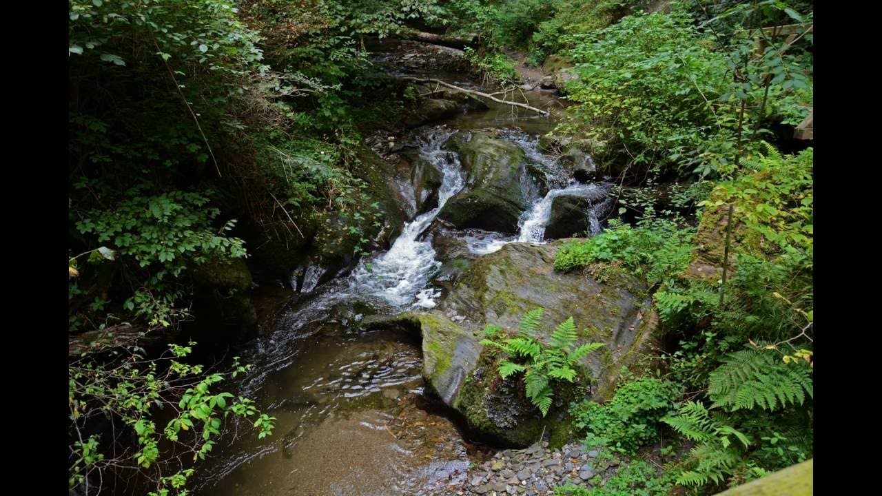 Wanderung mit Kindern! Die Ehrbachklamm bei Boppard-Oppenhausen! Rheinland-Pfalz