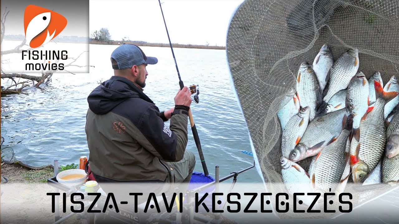 Feederrel a Tisza-tavon