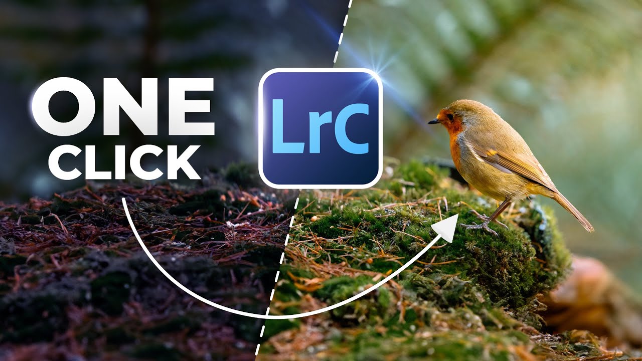 THIS One Tool Will Save You Hours In Lightroom