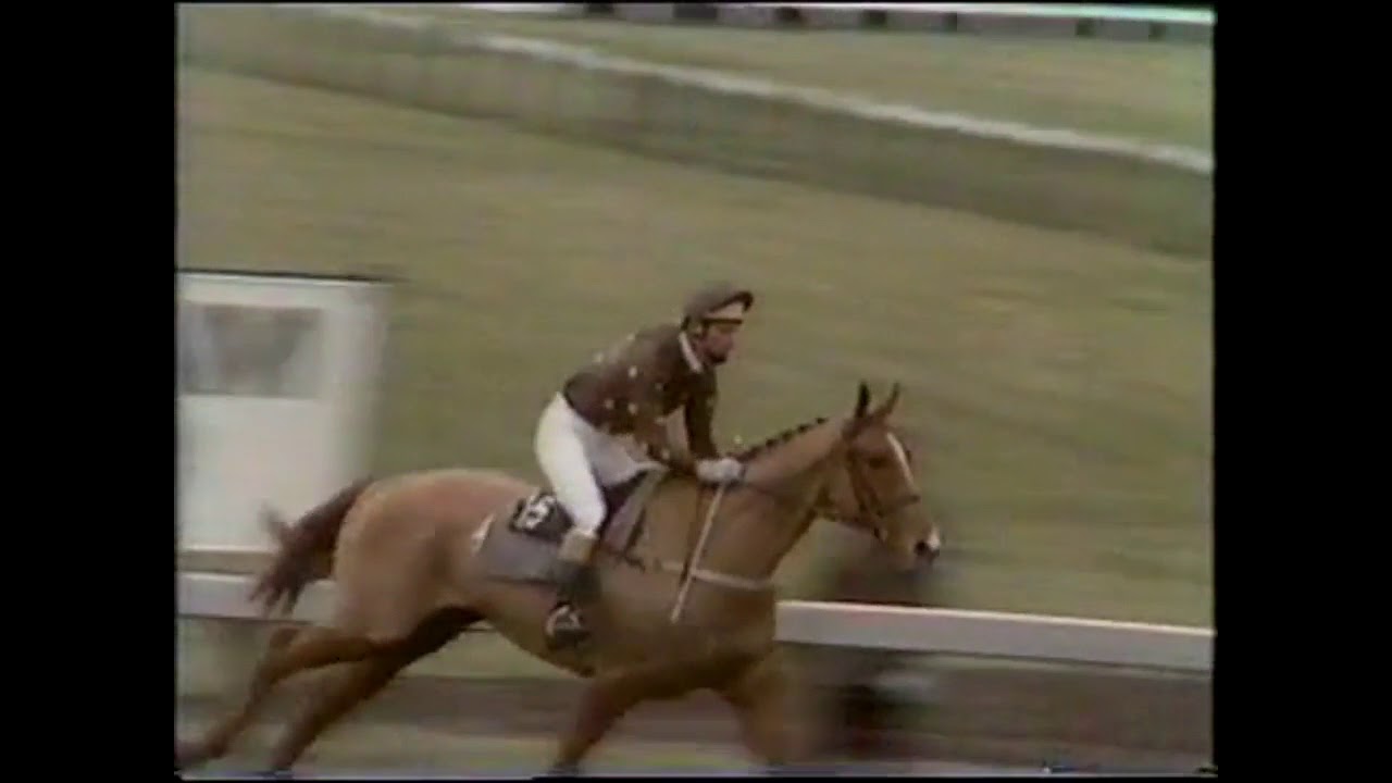 1985 Christie Foxhunters Chase Cheltenham