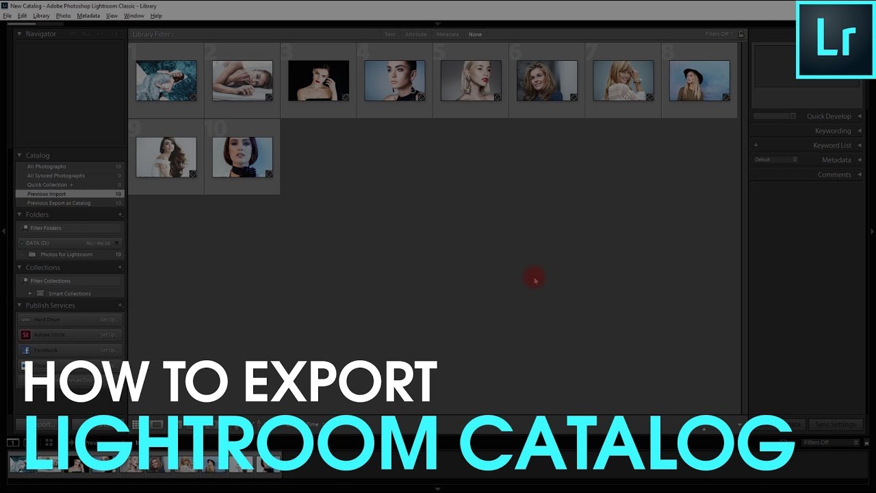 How to Export Catalog in Lightroom