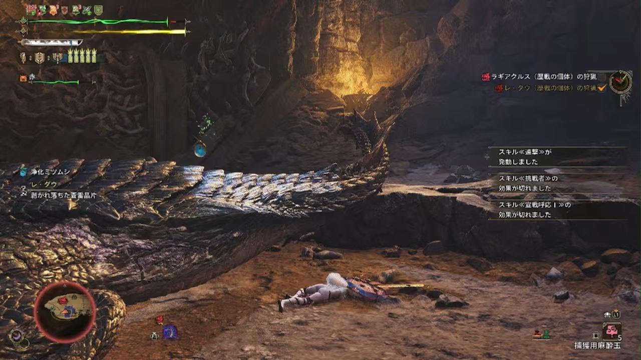 MHWilds_サブによるチャアクで星10ゾシア
