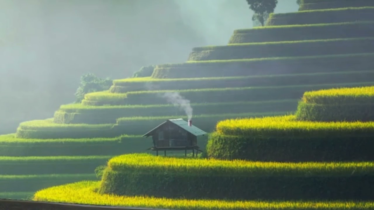 China's beautiful landscape: Rice Terraces - Reisterrassen