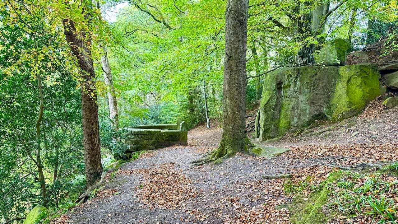 North Yorkshire Walking Routes: 20 Classic Walks to Experience