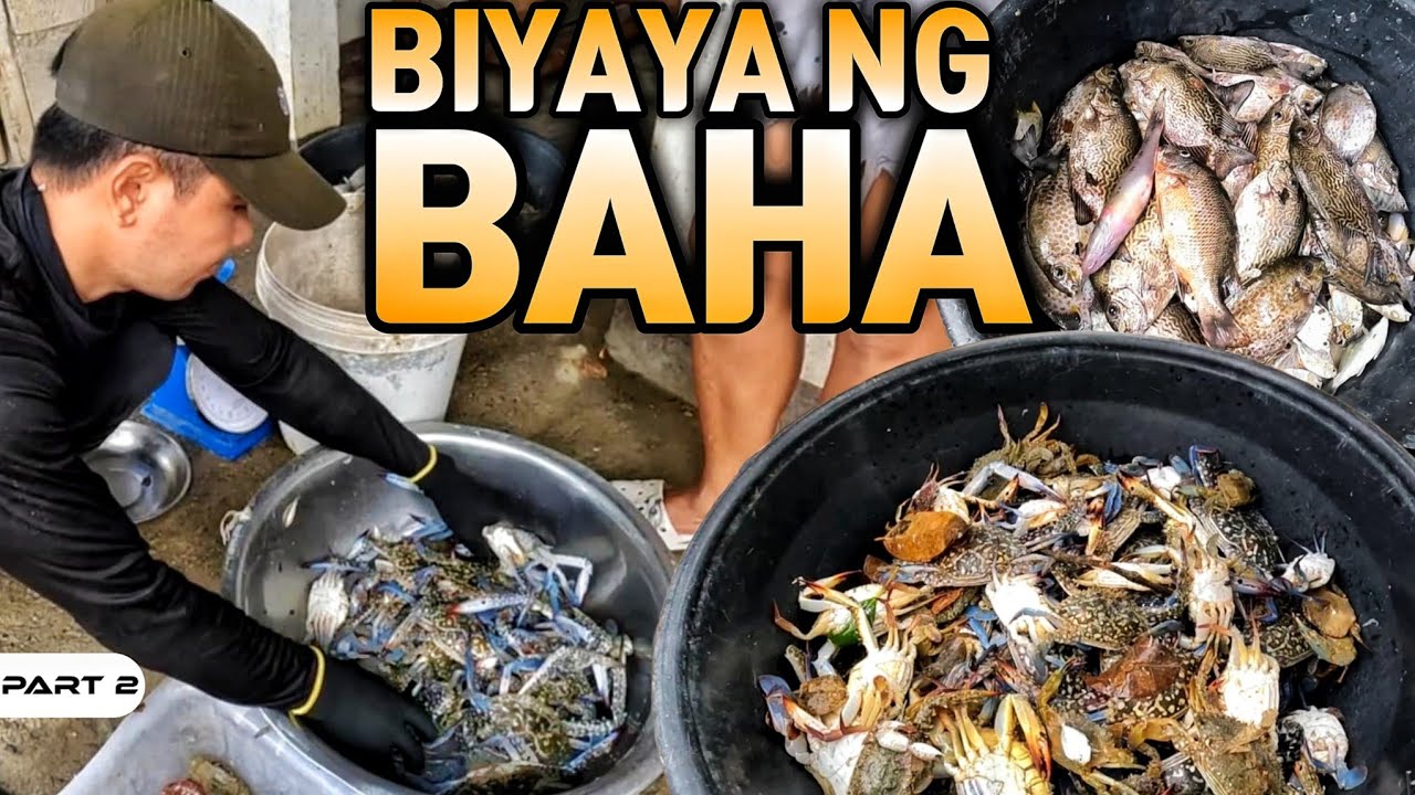 P2 - BIYAYA NG BAHA - EP1906