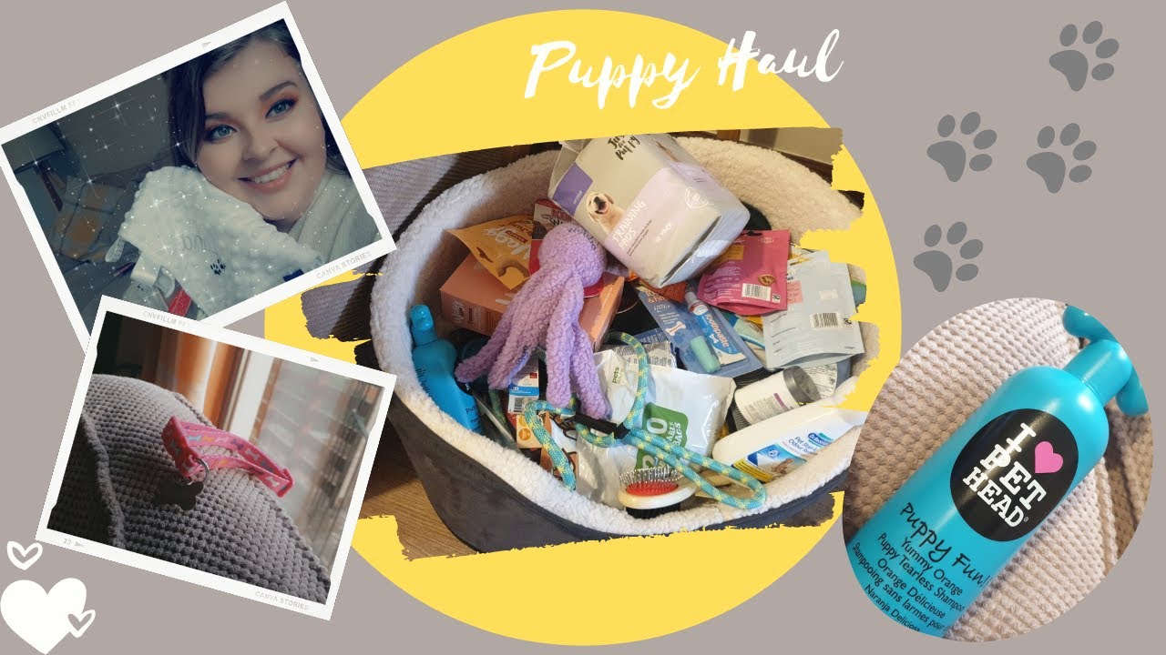 Puppy Haul - Everything you need for your new addition...