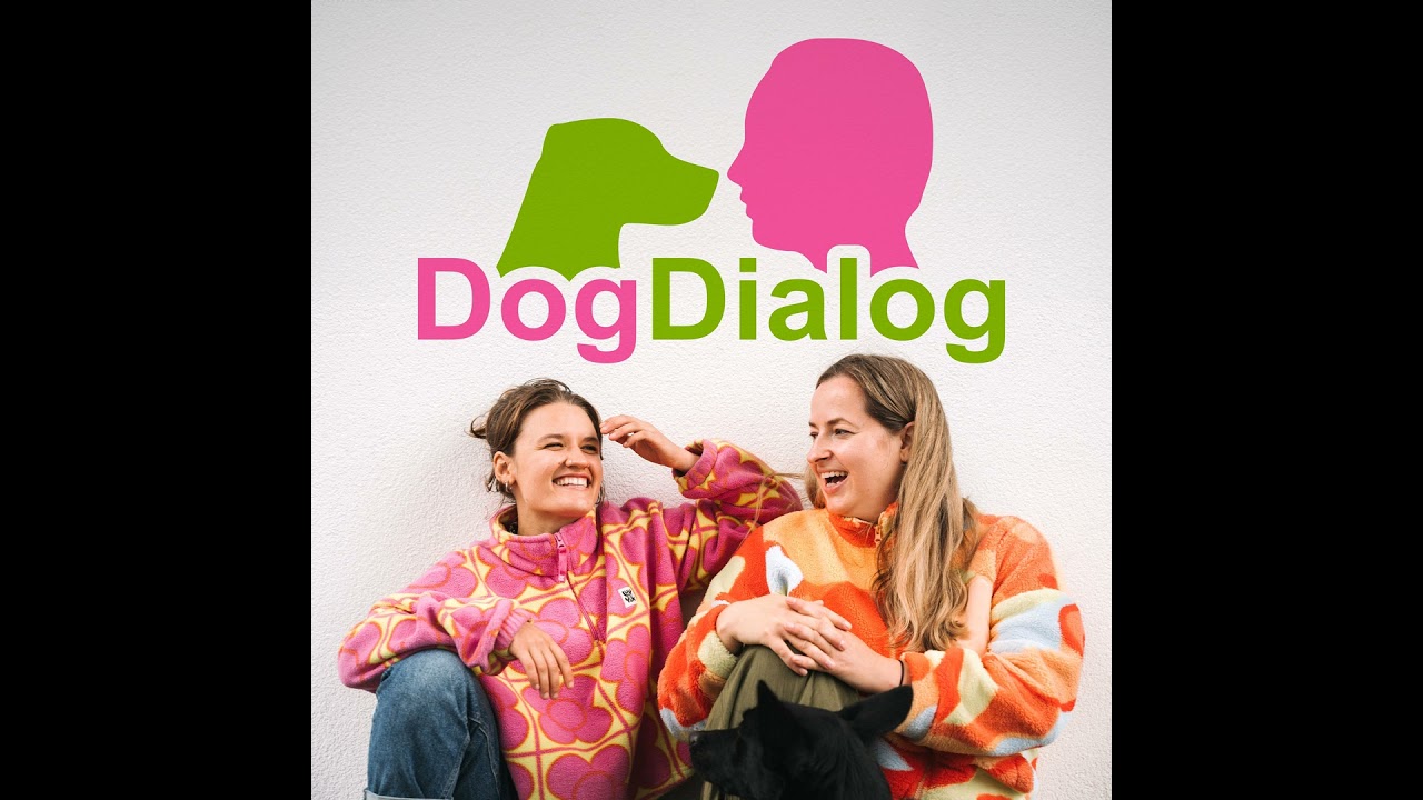 Hund allein daheim (1)