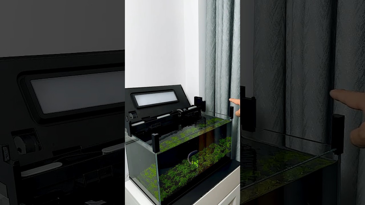 Xiaomi fish tank heightening bracket #trending #fishaquarium #fishtank #fish #fishvideo #aquarius
