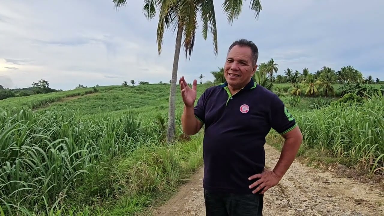 Cebu lot for sale 9 hectares plus clean title expandable Bogo City Cebu Philippines 400/sqm