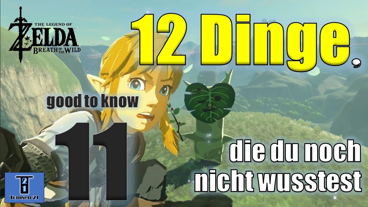 Good to Know #11 12 Dinge, die du noch nicht wusstest / Zelda BOTW