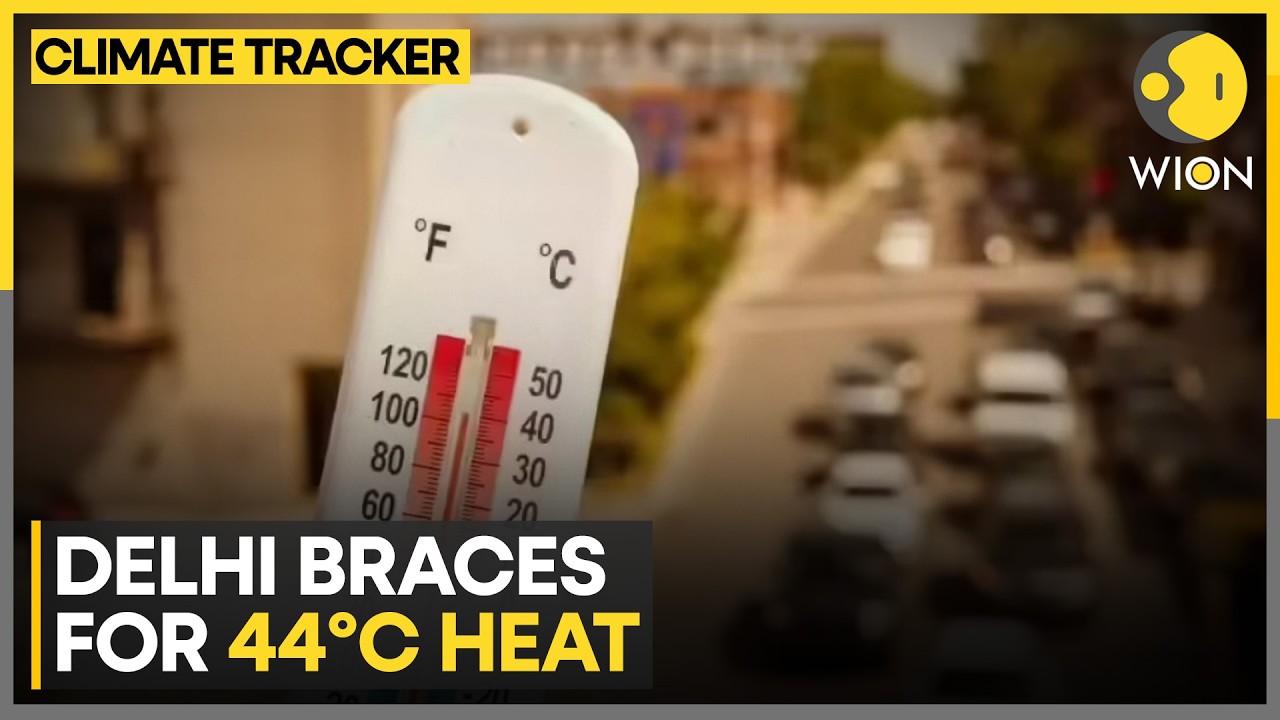 Delhi Heatwave: Delhi Schools Adapt to Heat, Water Bells Ordered | WION Climate Tracker