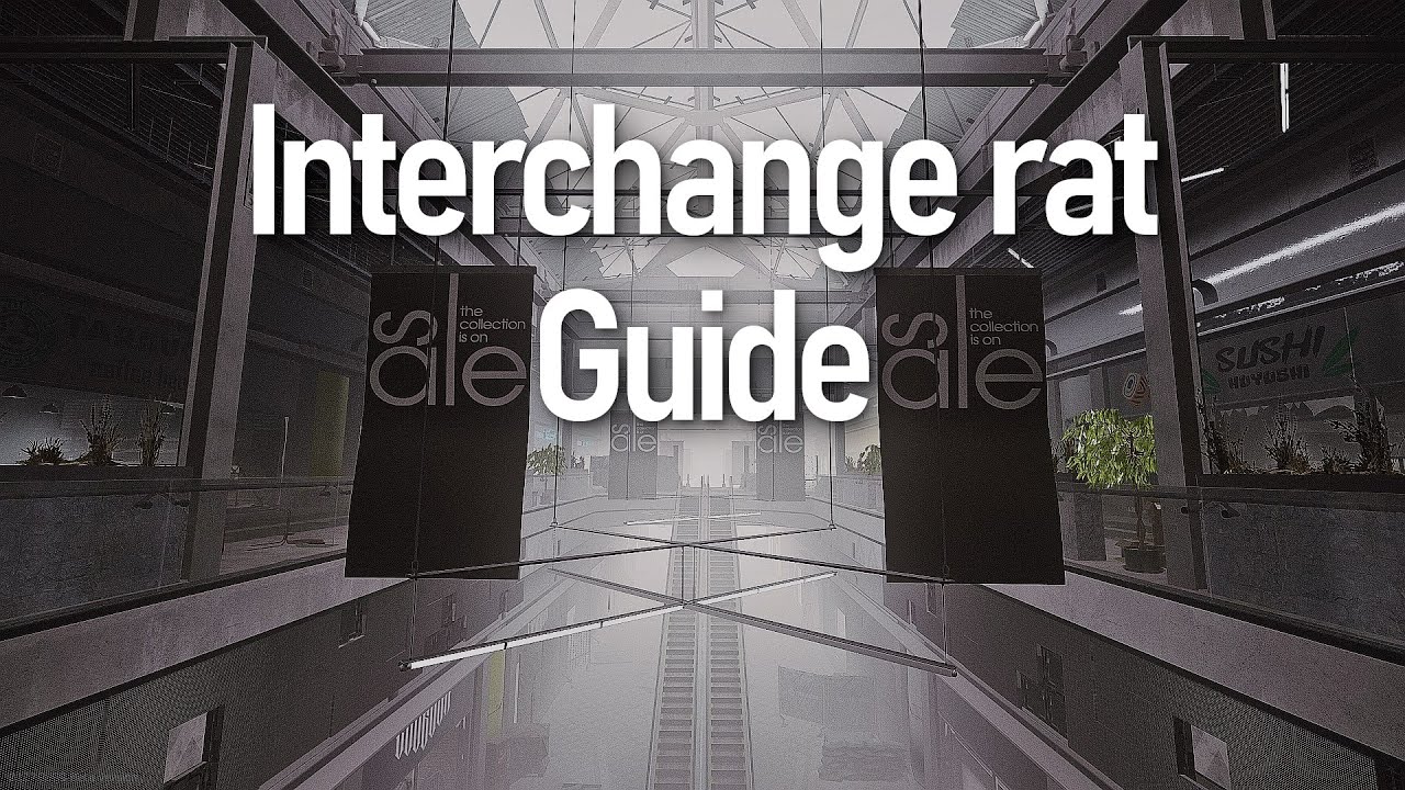 Interchange Rat Spots - Escape from Tarkov |Fast Roubles|