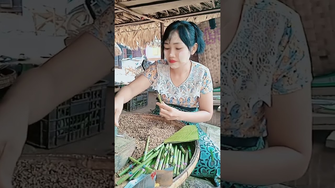 ဆေးပေါလိပ်