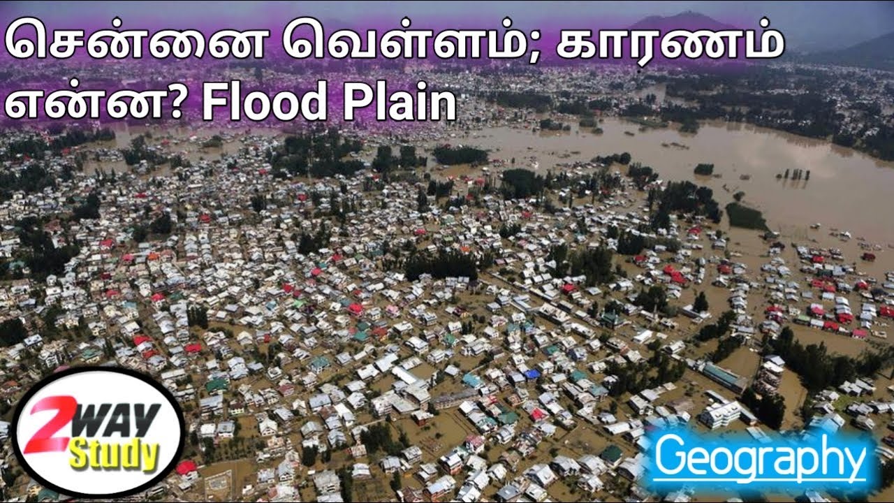 The Flood Plain | The Lower Course