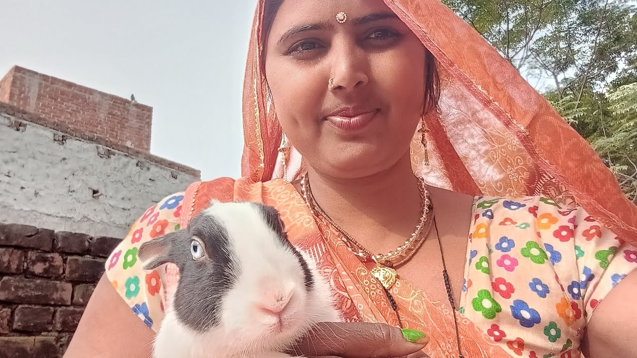 Anjali songs videos belonging लाइव है!