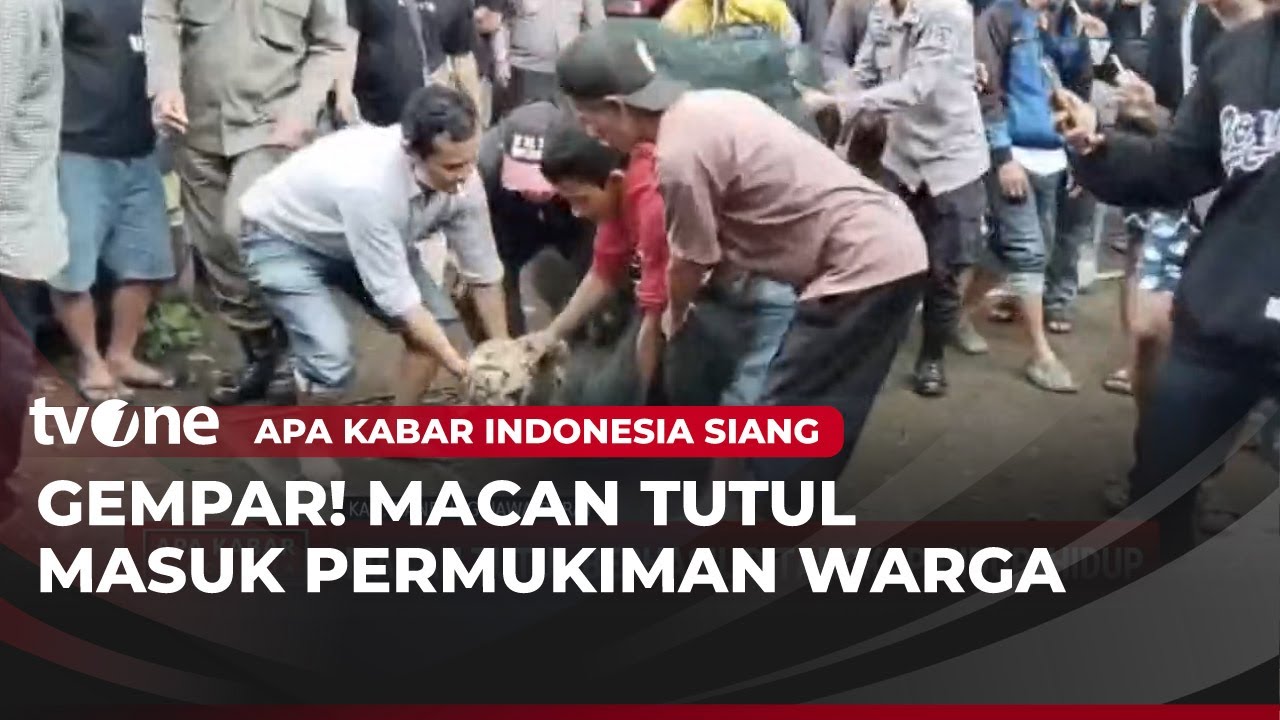 Macan Tutul Jawa Masuk Permukiman di Bandung | AKIS tvOne